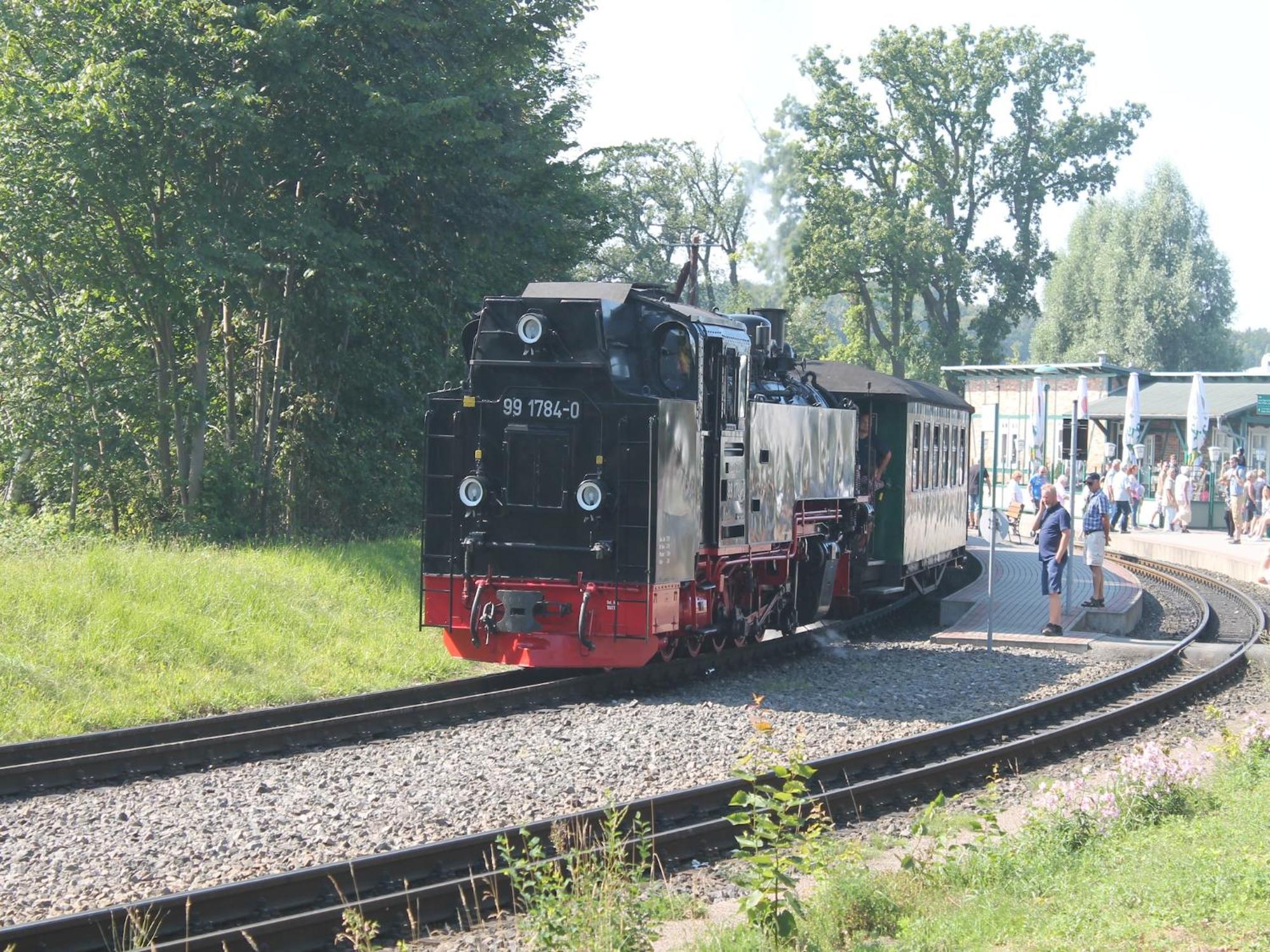 Seeadler 6 Wiek auf Rügen Exteriör bild