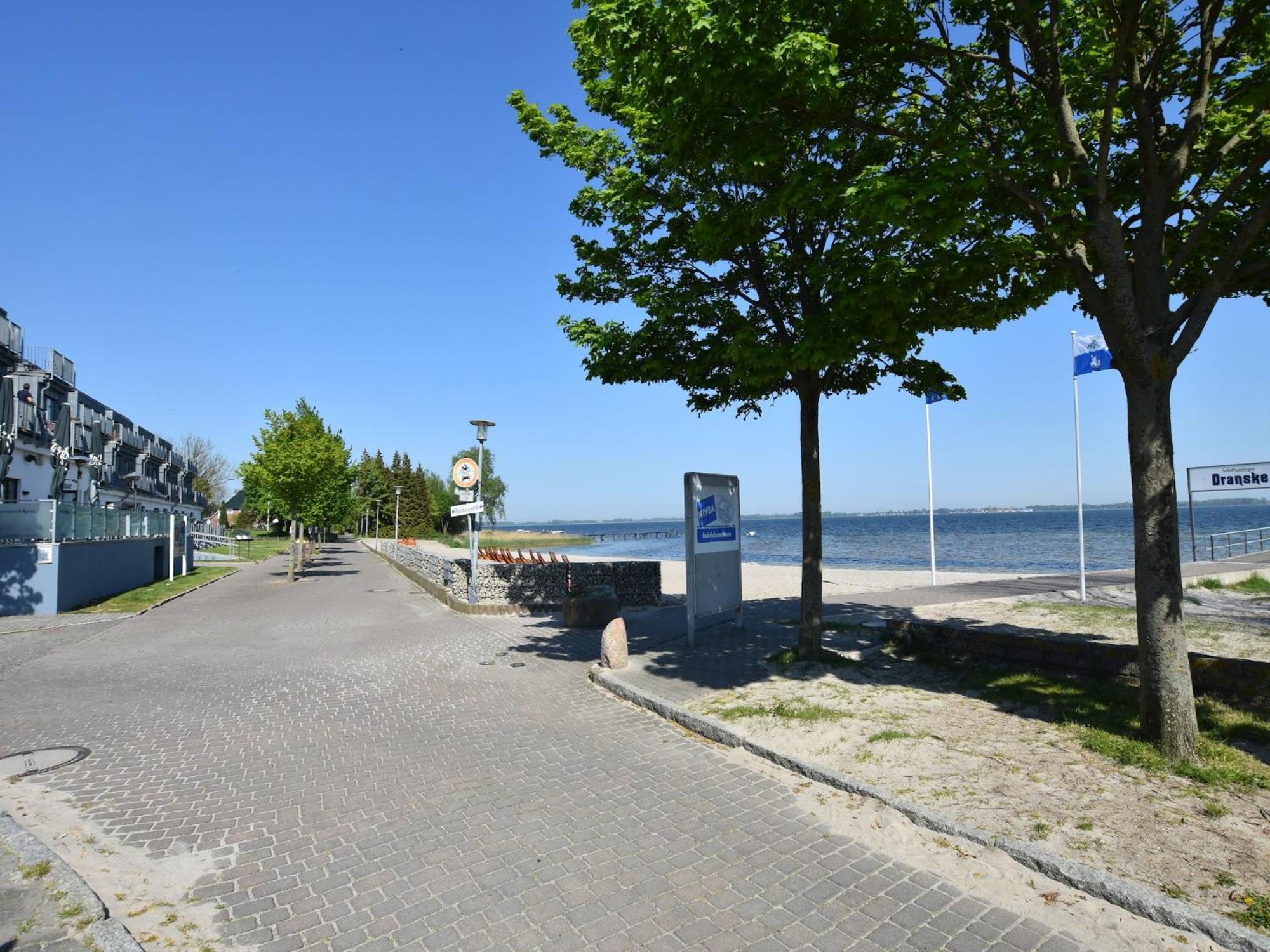 Seeadler 6 Wiek auf Rügen Exteriör bild