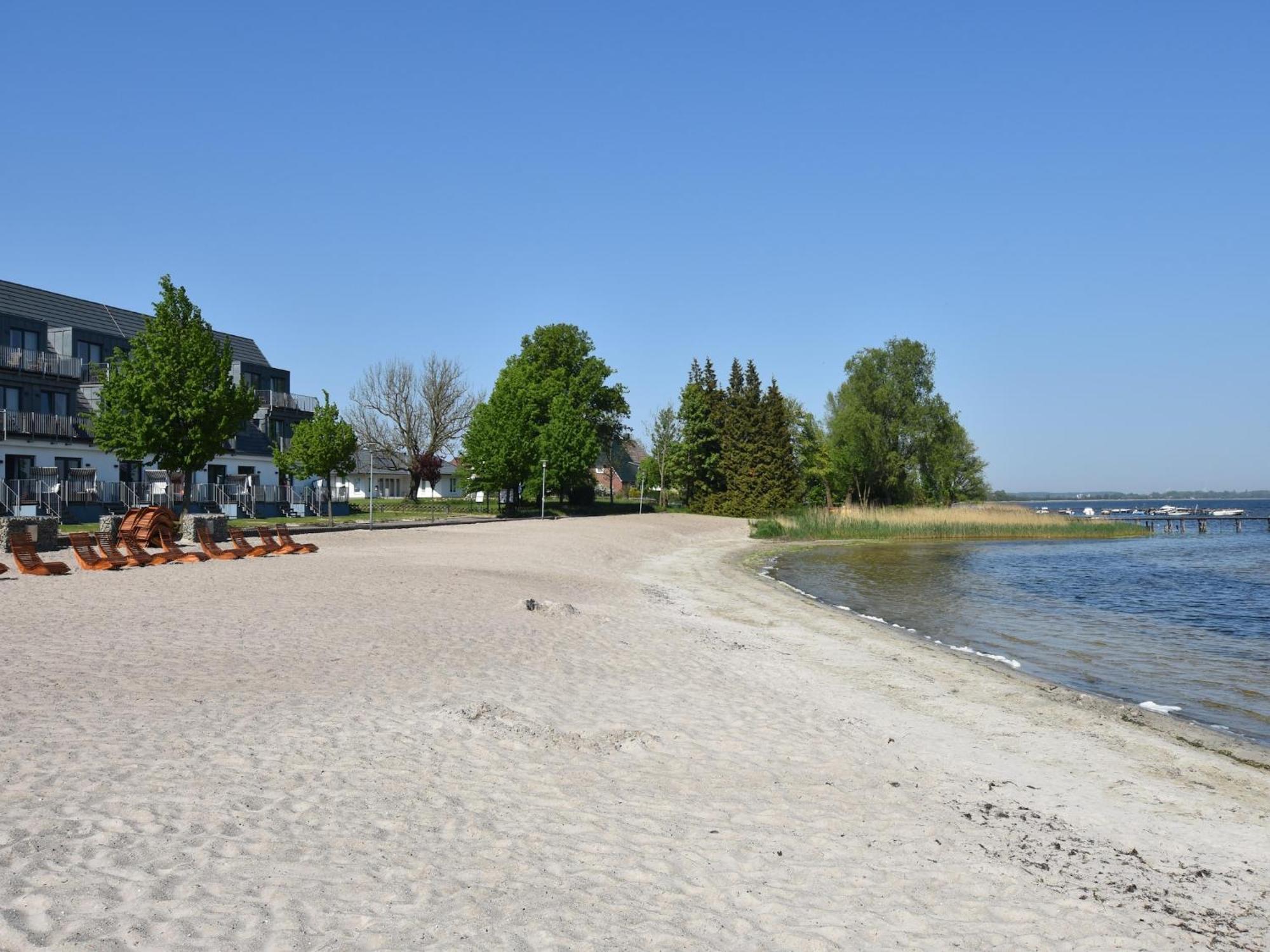 Seeadler 6 Wiek auf Rügen Exteriör bild